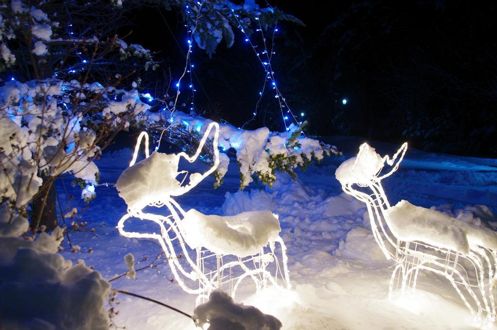 Kusatsu Skyland Hotel Εξωτερικό φωτογραφία